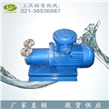 CW型磁力驅(qū)動(dòng)旋渦泵